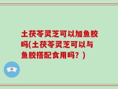 土茯苓灵芝可以加鱼胶吗(土茯苓灵芝可以与鱼胶搭配食用吗？)