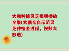 大鹏种植灵芝视频播放全集(大鹏亲自示范灵芝种植全过程，视频大放送)