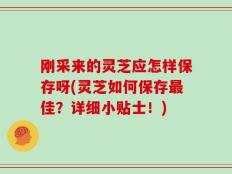 刚采来的灵芝应怎样保存呀(灵芝如何保存最佳？详细小贴士！)