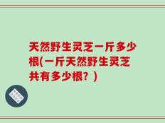 天然野生灵芝一斤多少根(一斤天然野生灵芝共有多少根？)