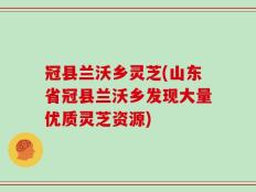 冠县兰沃乡灵芝(山东省冠县兰沃乡发现大量优质灵芝资源)
