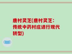 唐村灵芝(唐村灵芝：传统中药村庄进行现代转型)