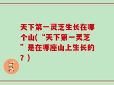 天下第一灵芝生长在哪个山(“天下第一灵芝”是在哪座山上生长的？)