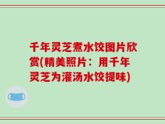 千年灵芝煮水饺图片欣赏(精美照片：用千年灵芝为灌汤水饺提味)