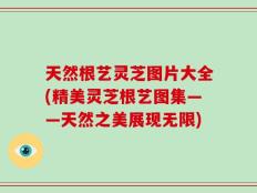 天然根艺灵芝图片大全(精美灵芝根艺图集——天然之美展现无限)