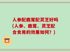 人参配鹿茸配灵芝好吗(人参、鹿茸、灵芝配合食用的效果如何？)