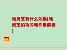 地灵芝有什么效果(地灵芝的功效和作用解析)