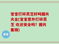 宝宝打碎灵芝好吗图片大全(宝宝意外打碎灵芝 吃还安全吗？图片集锦)
