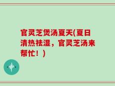 官灵芝煲汤夏天(夏日清热祛湿，官灵芝汤来帮忙！)