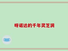 呀诺达的千年灵芝洞