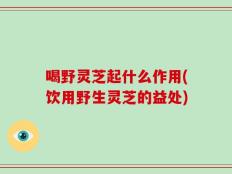 喝野灵芝起什么作用(饮用野生灵芝的益处)