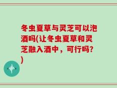 冬虫夏草与灵芝可以泡酒吗(让冬虫夏草和灵芝融入酒中，可行吗？)