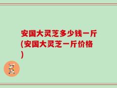 安国大灵芝多少钱一斤(安国大灵芝一斤价格)