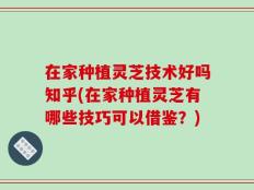 在家种植灵芝技术好吗知乎(在家种植灵芝有哪些技巧可以借鉴？)