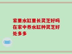 家里水缸里长灵芝好吗在家中养水缸种灵芝好处多多