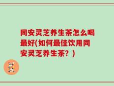 同安灵芝养生茶怎么喝最好(如何最佳饮用同安灵芝养生茶？)