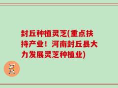 封丘种植灵芝(重点扶持产业！河南封丘县大力发展灵芝种植业)