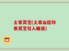 土家灵芝(土家山区珍贵灵芝引人瞩目)