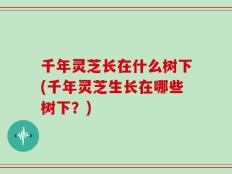 千年灵芝长在什么树下(千年灵芝生长在哪些树下？)
