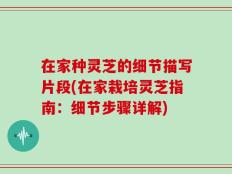 在家种灵芝的细节描写片段(在家栽培灵芝指南：细节步骤详解)