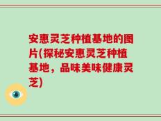 安惠灵芝种植基地的图片(探秘安惠灵芝种植基地，品味美味健康灵芝)