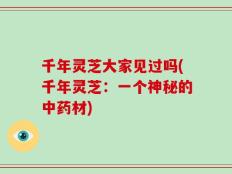 千年灵芝大家见过吗(千年灵芝：一个神秘的中药材)