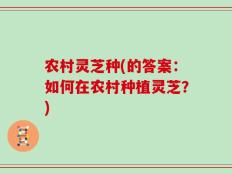 农村灵芝种(的答案：如何在农村种植灵芝？)