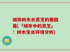 城市树木长灵芝的原因是(「城市中的灵芝」：树木生长环境分析)