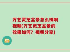 万艺灵芝盆景怎么样啊视频(万艺灵芝盆景的效果如何？视频分享)