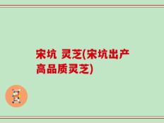 宋坑 灵芝(宋坑出产高品质灵芝)