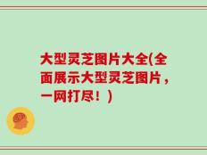 大型灵芝图片大全(全面展示大型灵芝图片，一网打尽！)