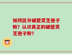 如何区分破壁灵芝孢子粉？认识真正的破壁灵芝孢子粉？