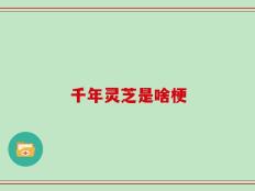 千年灵芝是啥梗