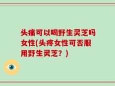 头痛可以喝野生灵芝吗女性(头疼女性可否服用野生灵芝？)