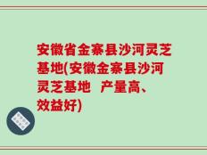 安徽省金寨县沙河灵芝基地(安徽金寨县沙河灵芝基地  产量高、效益好)