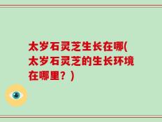 太岁石灵芝生长在哪(太岁石灵芝的生长环境在哪里？)