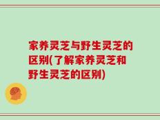 家养灵芝与野生灵芝的区别(了解家养灵芝和野生灵芝的区别)
