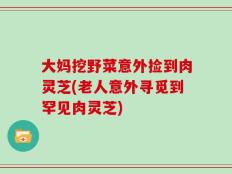 大妈挖野菜意外捡到肉灵芝(老人意外寻觅到罕见肉灵芝)