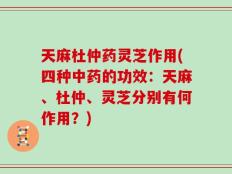 天麻杜仲药灵芝作用(四种中药的功效：天麻、杜仲、灵芝分别有何作用？)