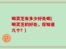 喝灵芝有多少好处呢(喝灵芝的好处，你知道几个？)