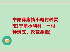 宁阳蒋集镇小胡村种灵芝(宁阳小胡村：一村种灵芝，改变命运)