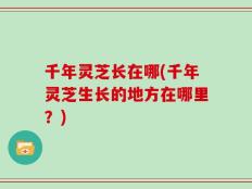 千年灵芝长在哪(千年灵芝生长的地方在哪里？)