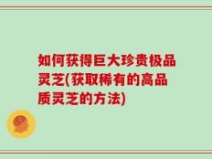 如何获得巨大珍贵极品灵芝(获取稀有的高品质灵芝的方法)