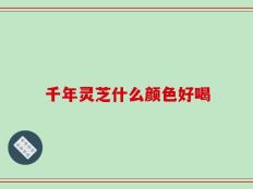 千年灵芝什么颜色好喝