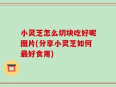 小灵芝怎么切块吃好呢图片(分享小灵芝如何最好食用)