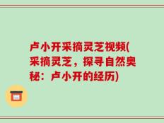 卢小开采摘灵芝视频(采摘灵芝，探寻自然奥秘：卢小开的经历)