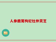 人参鹿茸枸杞杜仲灵芝