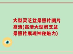 大型灵芝盆景照片图片高清(高清大型灵芝盆景照片展现神秘魅力)