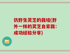 仿野生灵芝的栽培(野外一样的灵芝自家栽：成功经验分享)