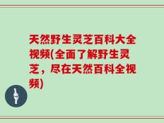 天然野生灵芝百科大全视频(全面了解野生灵芝，尽在天然百科全视频)